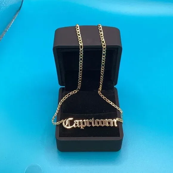 ⭐️🌙Capricorn Zodiac Nameplate on 14k Gold plated Figaro Chain⭐️🌙